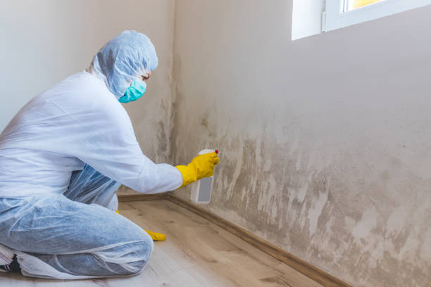 Mold Remediation specialist working in Jacksonville Beach